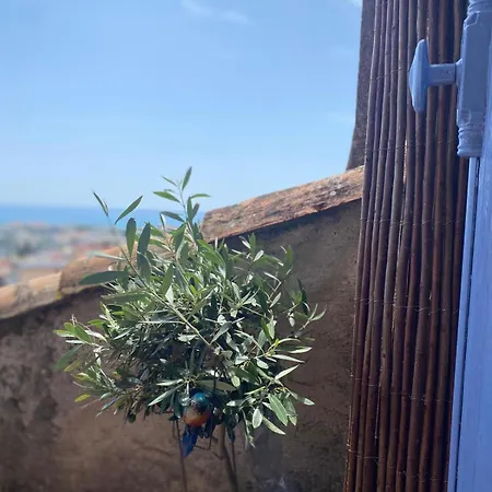 Montebello - Terrasse Et Vue 別荘 *